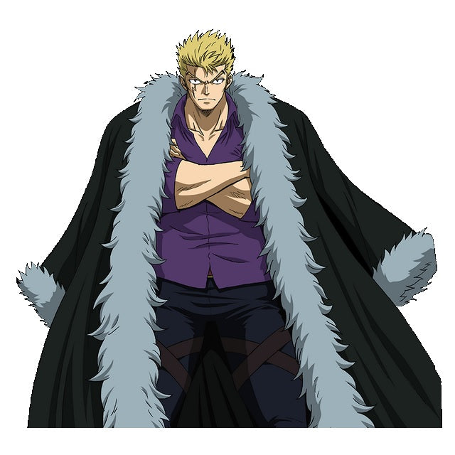 Luxus Fairy Tail Jacke