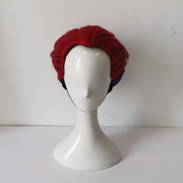 Perruque Hisoka Cosplay Hunter x Hunter