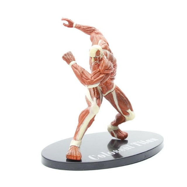 Figurine Titan Colossal Attaque des Titans